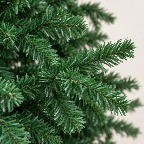 I rami dell’albero da vicino